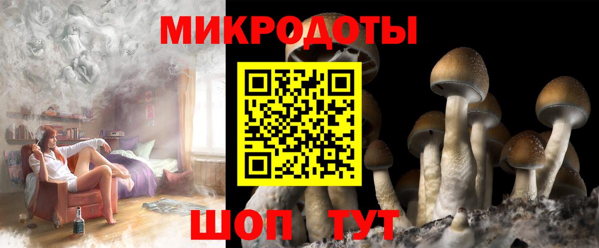 Псилоцибиновые грибы GOLDEN TEACHER  Вход с VPN  Дубна 