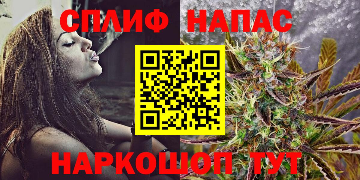 Бошки Шишки ГИДРОПОН Дубна